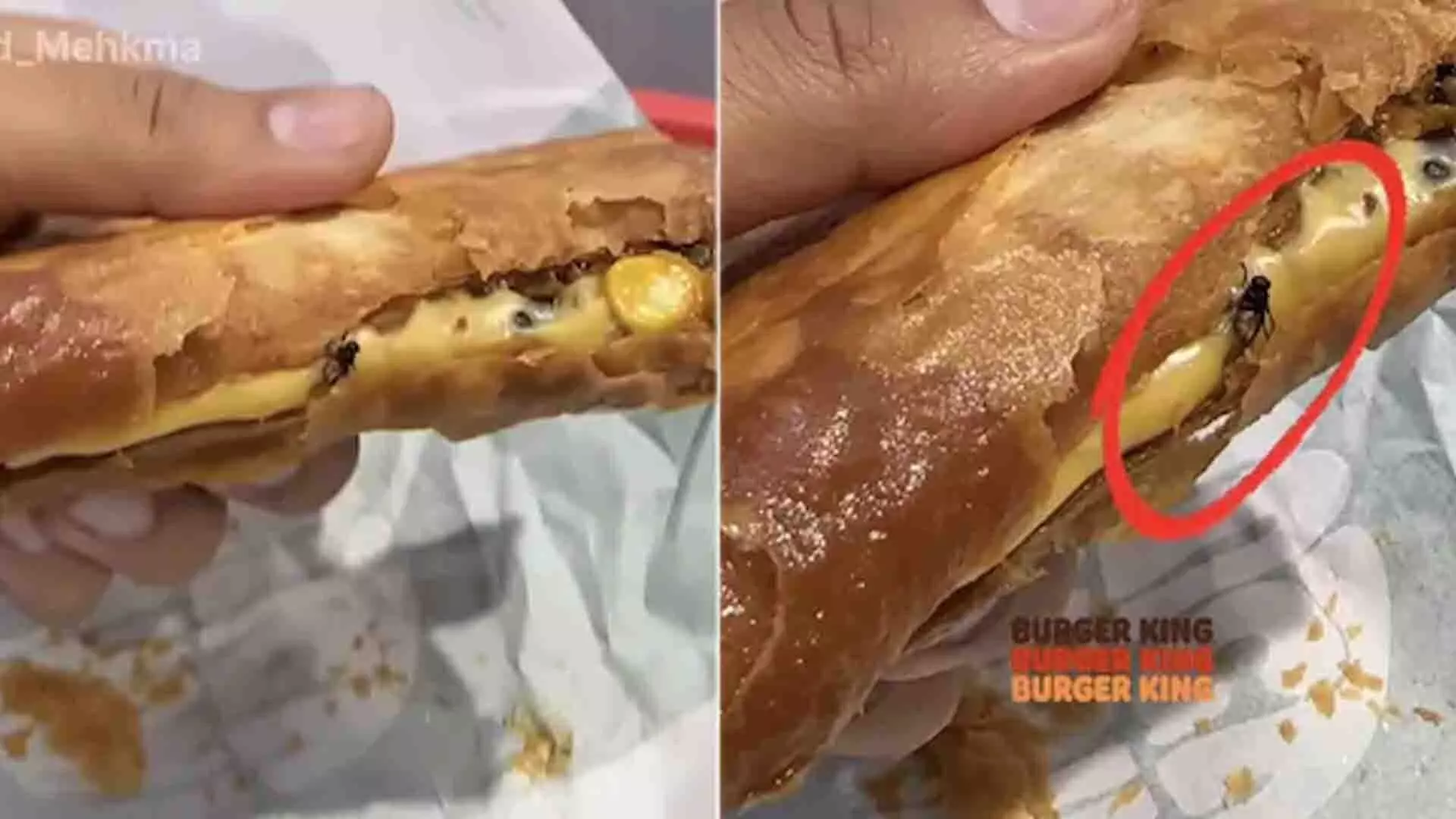 फ़ास्ट-फ़ूड श्रृंखला प्रतिक्रिया देती है: व्लॉगर को बर्गर किंग टैको में मृत मक्खी मिली
