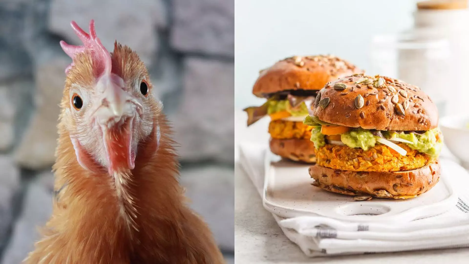 वेज बर्गर ऑर्डर करने वाले ग्राहकों को कैफे ने परोसा चिकन, खाद्य विभाग तक पहुंचा मामला