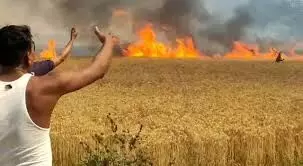 अचानक 20 एकड़ गेहूं के खेत में लगी आग, लाखों के अनाज जले