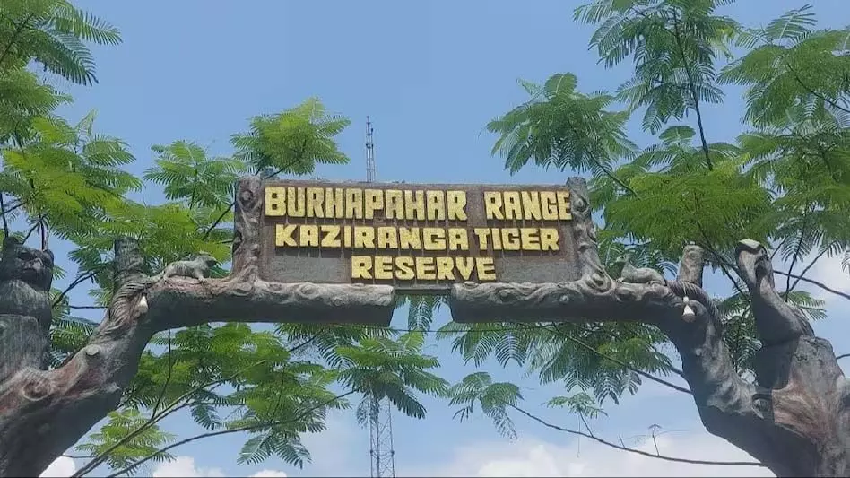 काजीरंगा राष्ट्रीय उद्यान में जंगली भैंसे के हमले में असम के वन अधिकारी की मौत