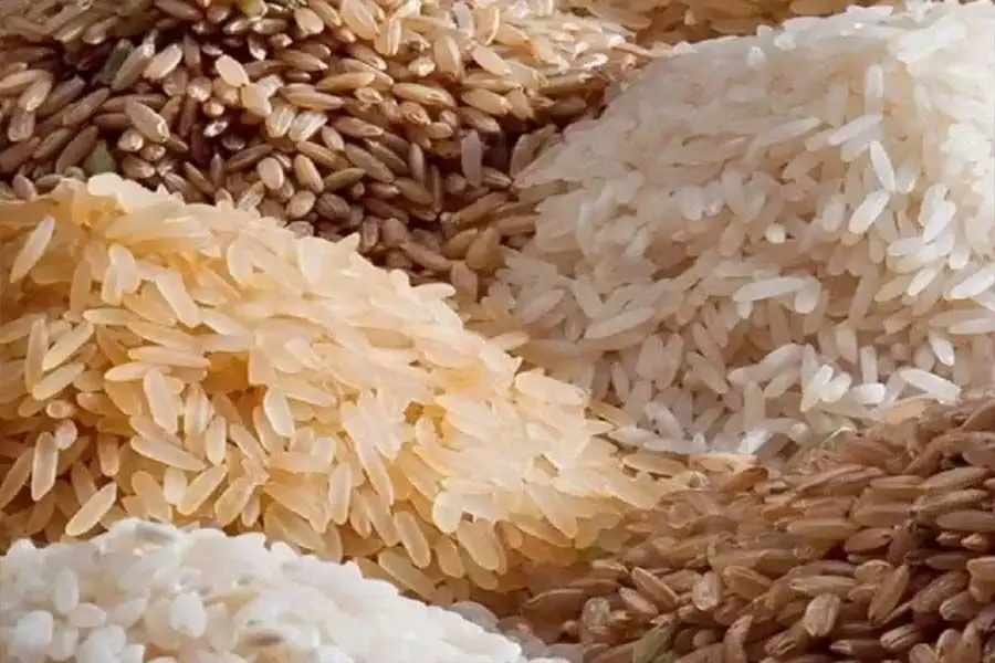 केंद्र तेलंगाना से 30 एलएमटी उबले चावल खरीदेगा: किशन रेड्डी