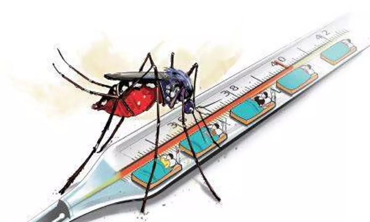 स्वास्थ्य मंत्री वीना जॉर्ज ने मच्छर जनित बीमारियों के प्रति सावधानी बरतने का आग्रह किया