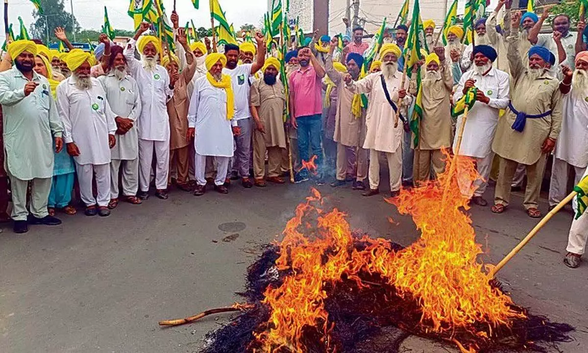 संगरूर के किसानों ने भाजपा नेता अरविंद खन्ना का पुतला जलाया