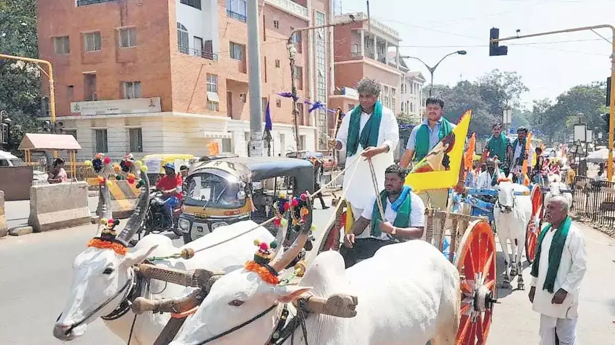 कर्नाटक के निर्दलीय उम्मीदवार महादयी जल विवाद को उजागर करने के लिए बैलगाड़ी पर चढ़े