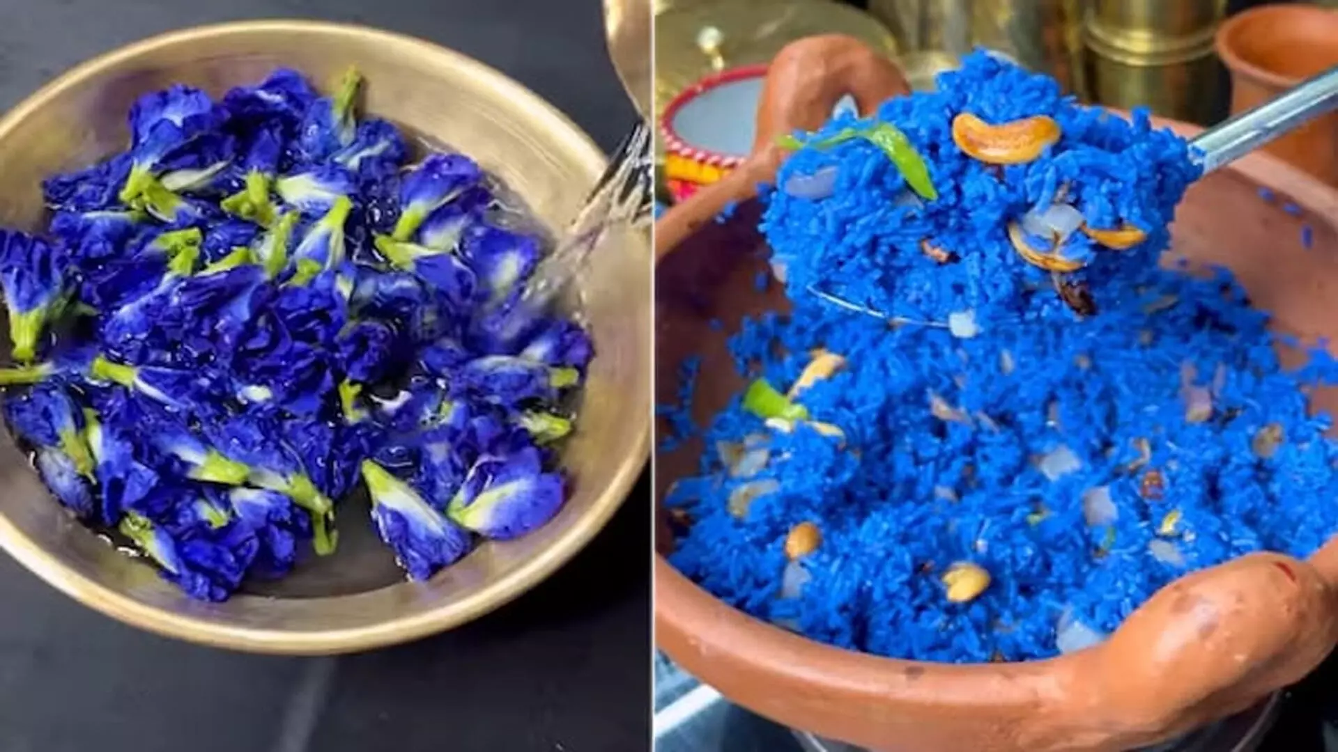 अवतार बिरयानी - नीले रंग का घी चावल दिखाने वाला वीडियो इंटरनेट को करता है विभाजित