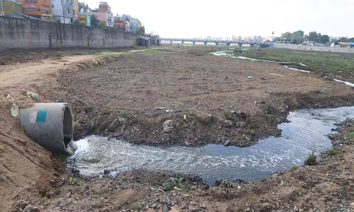 कार्यकर्ता ने निगम से वैगई नदी में सीवेज के प्रवाह को रोकने का आग्रह किया