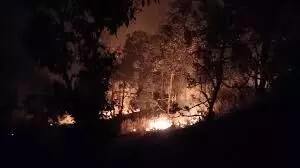 देवभूमि में जंगलों की आग बेकाबू होकर फैल रही