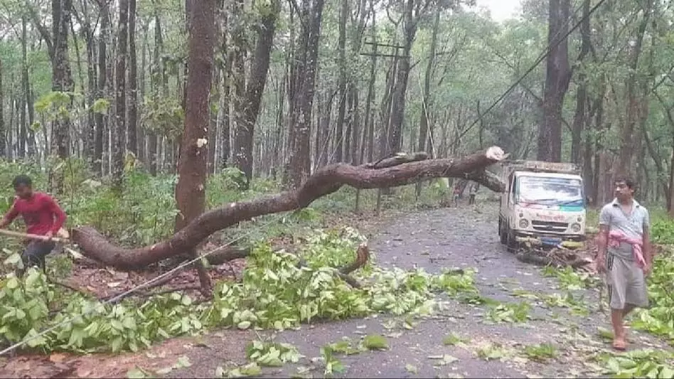 तूफान ने राज्य को तबाह कर दिया 291 घर क्षतिग्रस्त, गोमती जिला सबसे अधिक प्रभावित