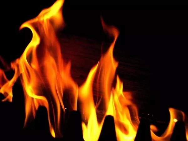 आंध्र: तिरूपति जिले में लगी आग, स्थानीय वन्य जीवन के लिए सतर्क रहें