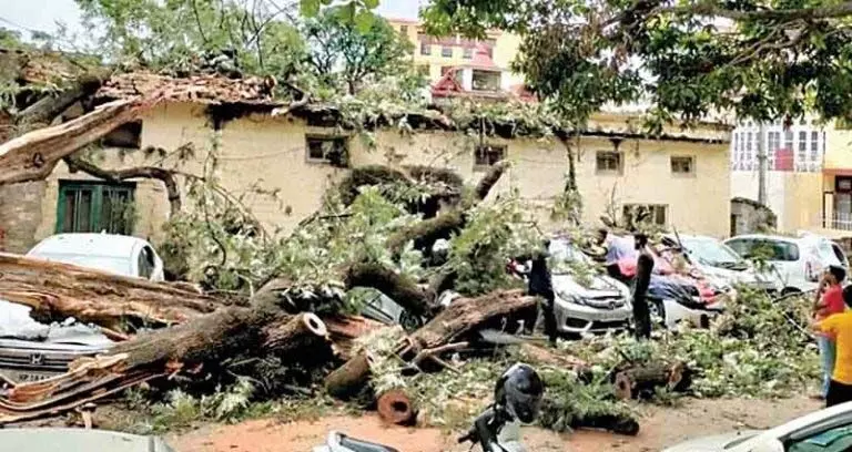 ओलावृष्टि से सेब के बागीचों को नुकसान, ऊंचाई वाले इलाकों में गिरा तापमान