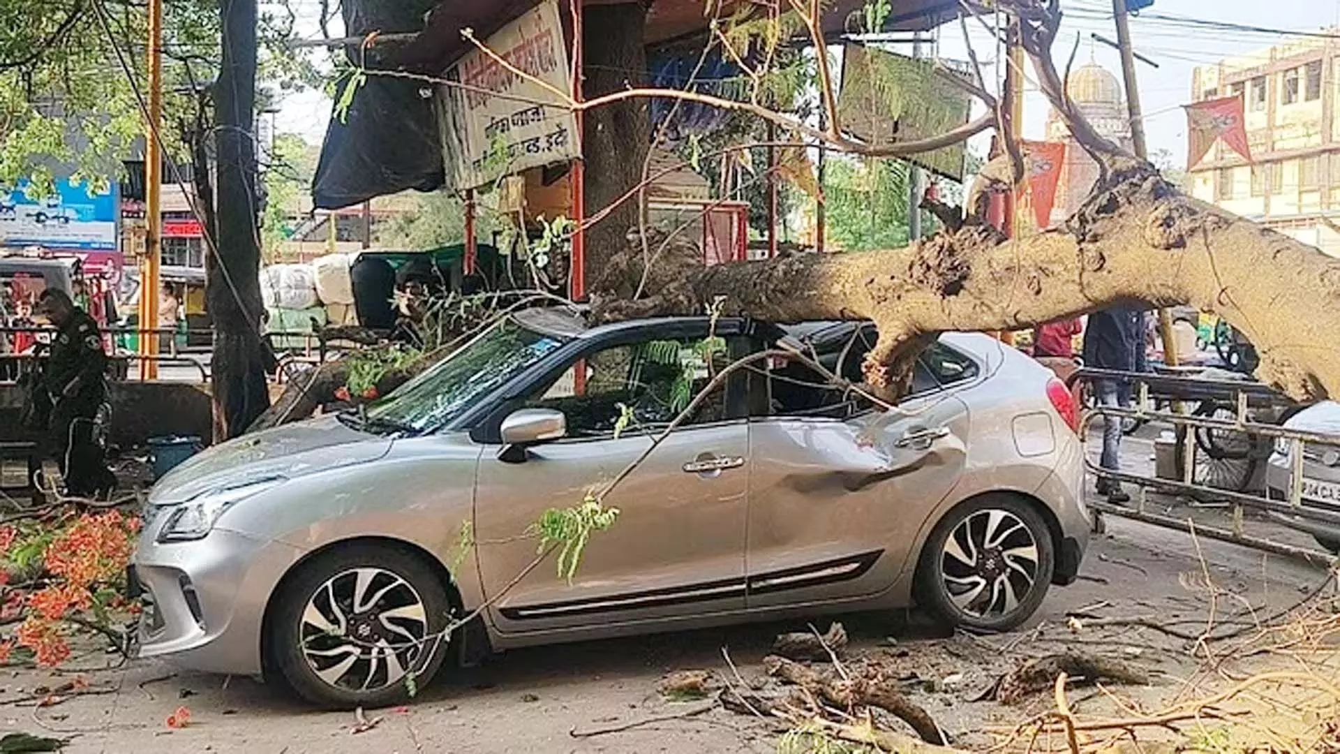 Indore : तेज हवाओं के चलते गिरा पेड़ कार की छत टूटी
