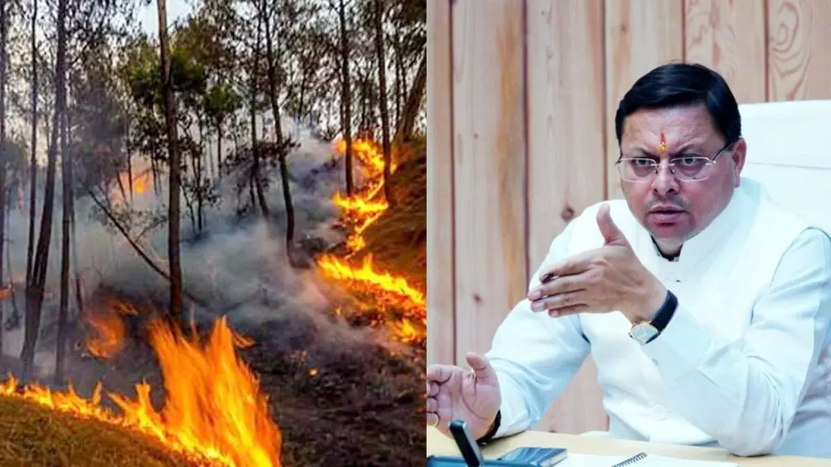जंगल की आग को लेकर सीएम धामी ने जारी की हेल्पलाइन नम्बर
