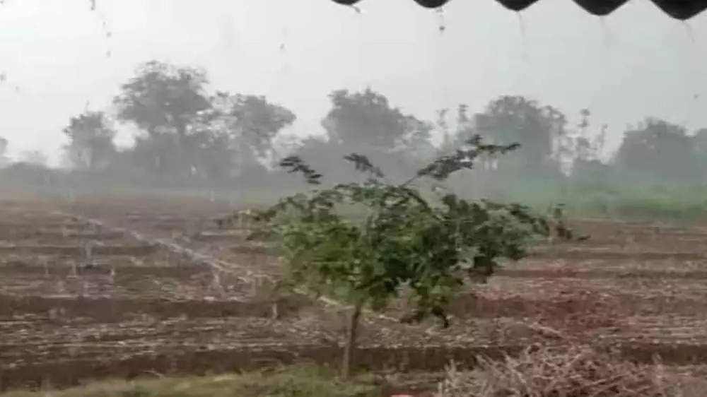 कपराडा के अंदरूनी इलाकों में भारी बेमौसम बारिश