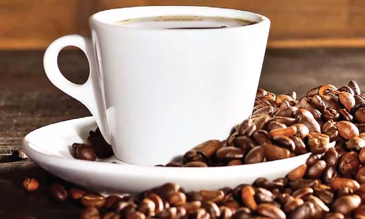 चिलचिलाती गर्मी और कम बारिश से केरल में कॉफी उत्पादन को खतरा
