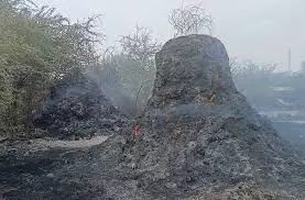 दो गांवों की 35 एकड़ में लगी भीषण आग से हुआ भारी नुकसान