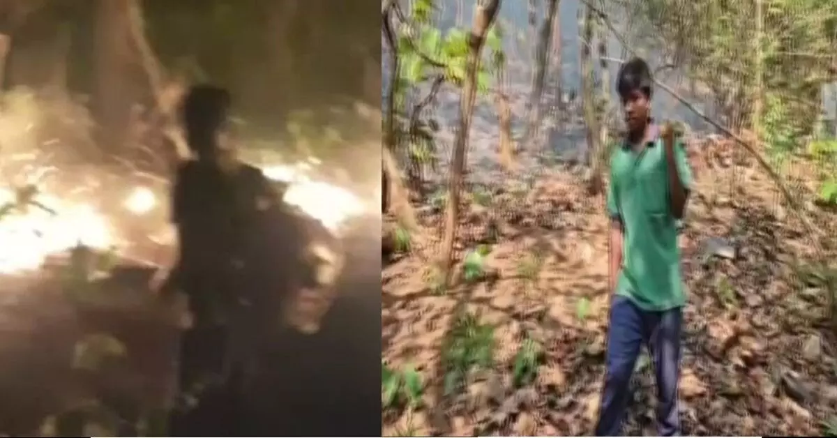 हदगढ़ वन्यजीव अभयारण्य में जंगल में लगी आग, टीमें तैनात