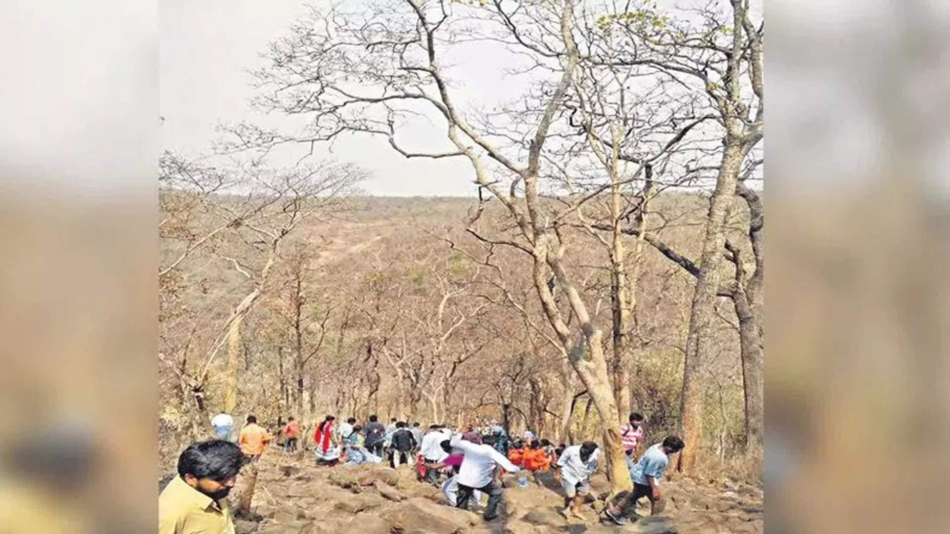 नागरकुर्नूल: सालेश्वरम जथारा शुरू