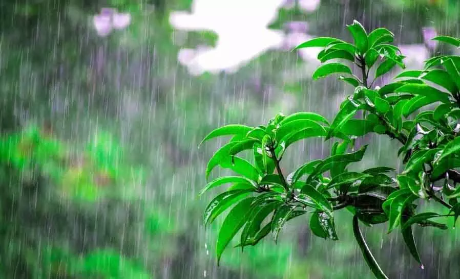 हिमाचल प्रदेश के कई हिस्सों में 28 अप्रैल तक मौसम खराब रहने की संभावना: मौसम विभाग