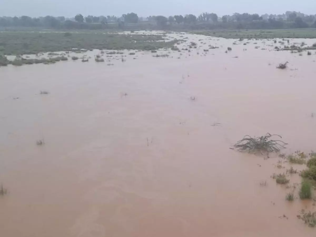 अलवर जिले में पानी की स्थिति बिगड़ी, केवल एक में ही बचा पानी