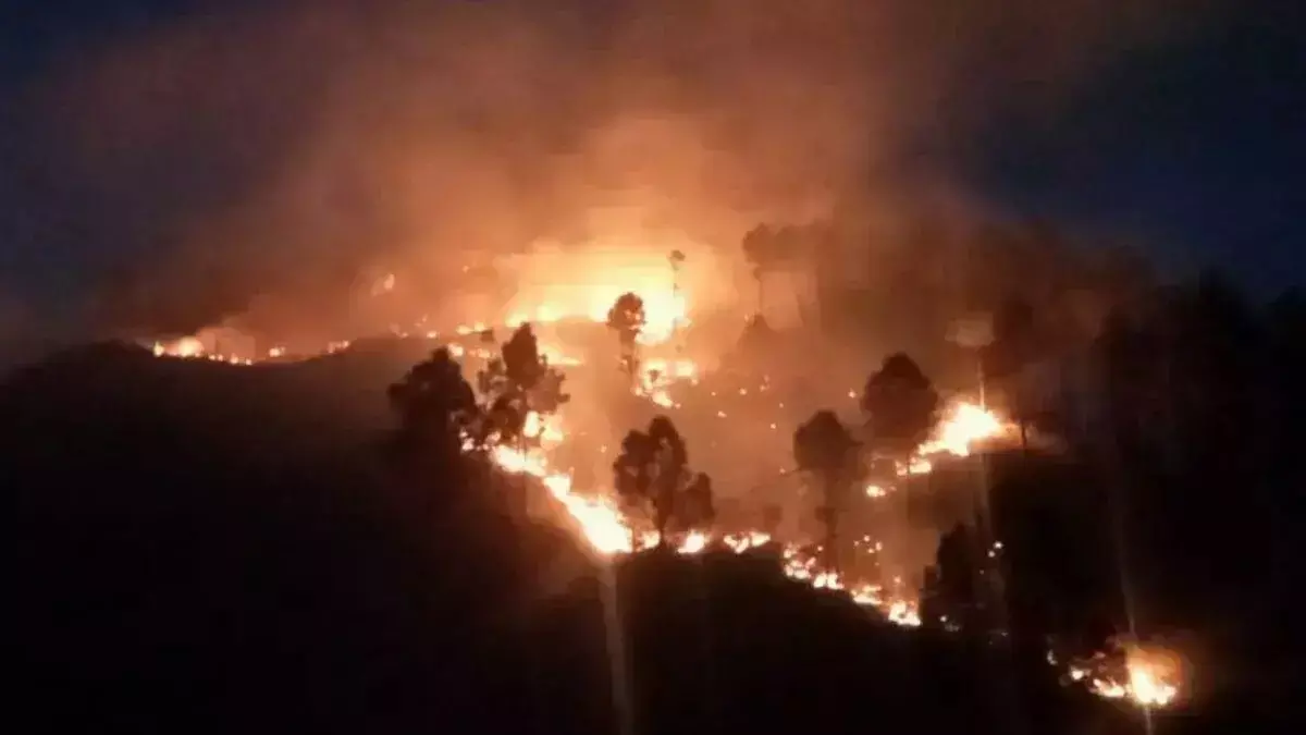 नैनीताल के जंगल में लगी आग से बहुमूल्य वन संपदा हो रही हैं नष्ट