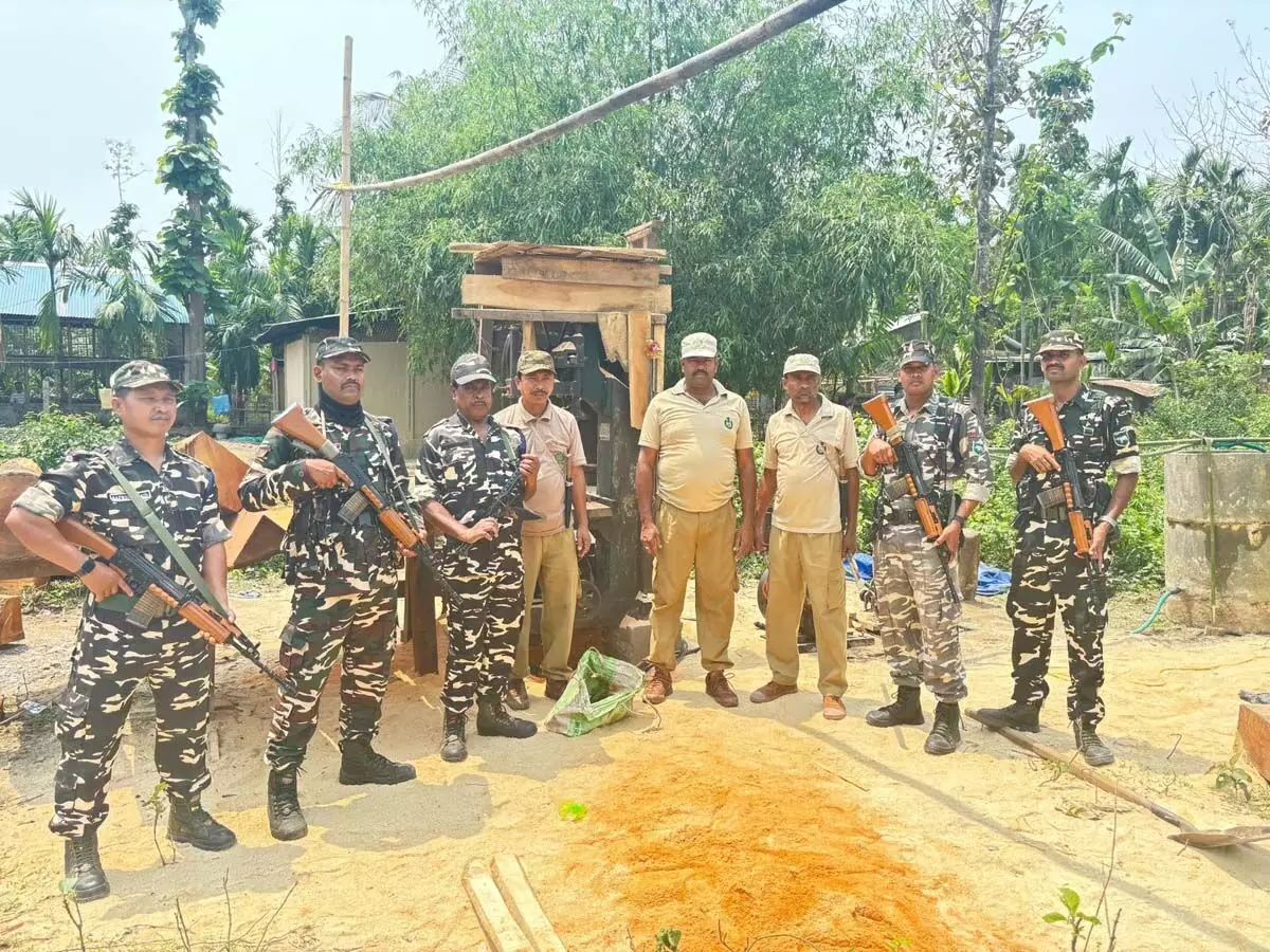 24वीं बटालियन सशस्त्र सीमा बल रंगिया ने कुमारीकाटा वन विभाग के साथ मिलकर अवैध लकड़ी जब्त