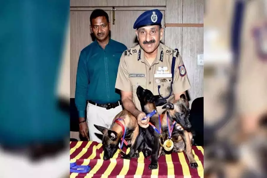 चेन्नई पुलिस के कुत्ते दस्ते में तीन बेल्जियम शेफर्ड पिल्ले शामिल किए गए