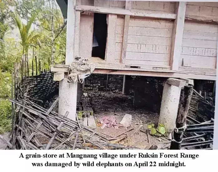 जंगली हाथियों ने मंगनांग में घर को नुकसान पहुंचाया