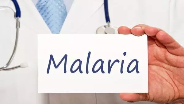 फरीदाबाद जिले में मलेरिया पर नियंत्रण के लिए स्वास्थ्य विभाग का प्रयास रंग लाया