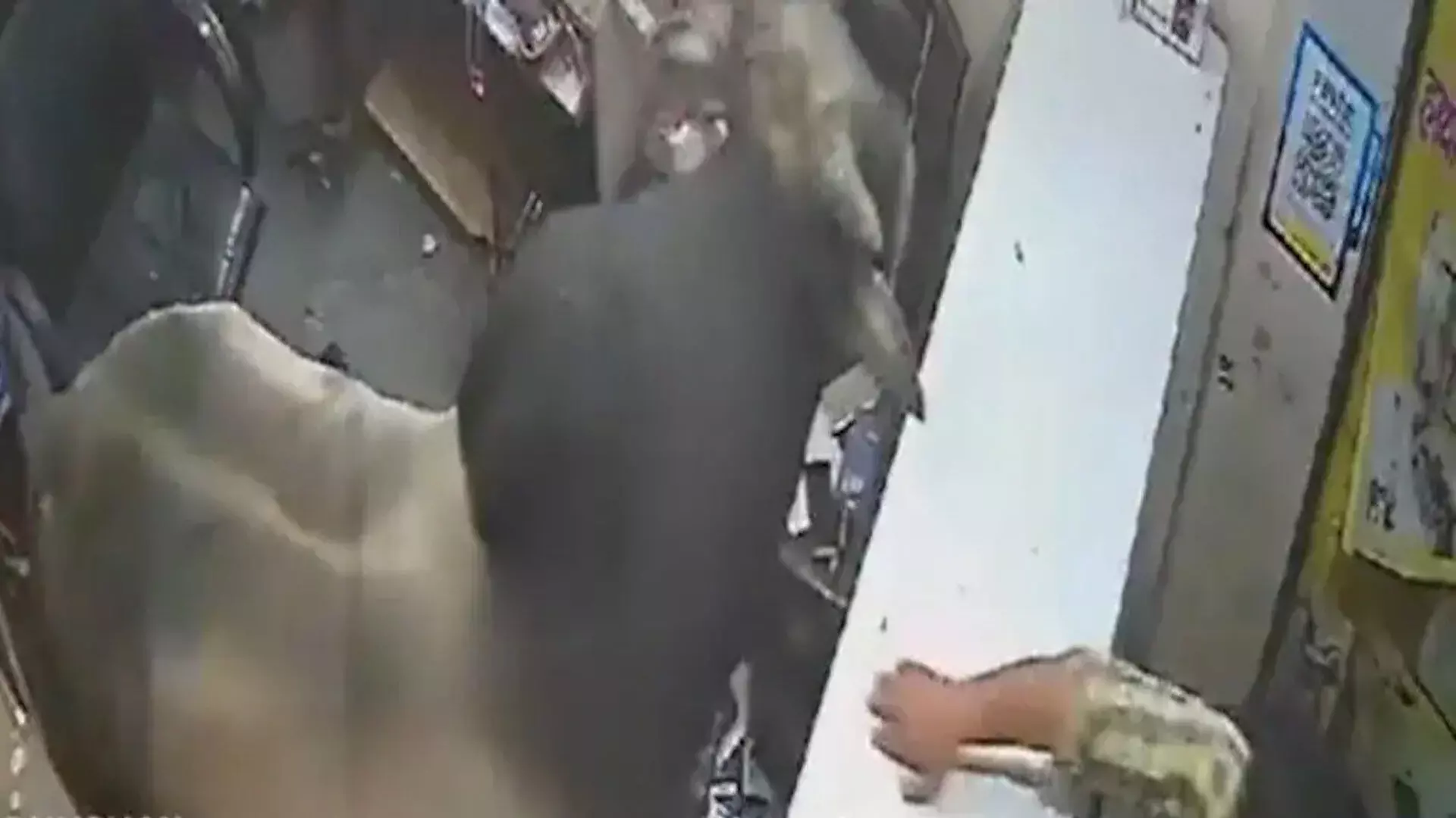 एक मोबाइल दुकान में बैल, वीडियो में दो श्रमिकों के साथ एक जानवर को छोटे स्टोर में घुसते हुए दिखाया गया