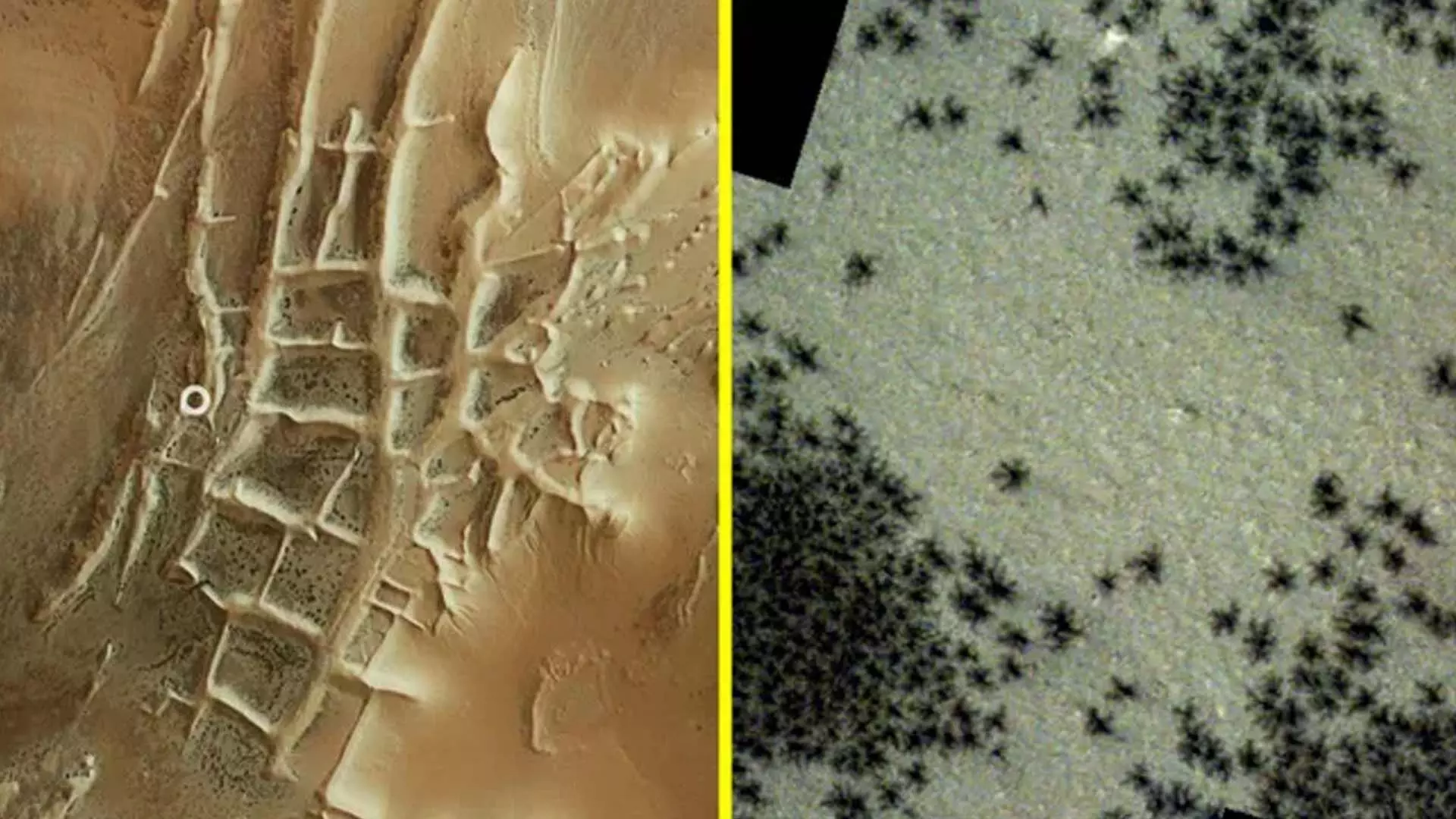 सैटेलाइट तस्वीरों में मंगल ग्रह पर दिखी सैकड़ों काली मकड़ियां