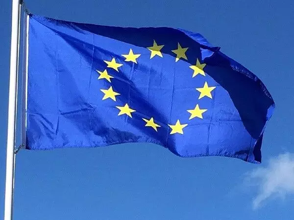 यूरोपीय संघ ने चीनी सुरक्षा उपकरण निर्माता के कार्यालयों पर छापा मारा