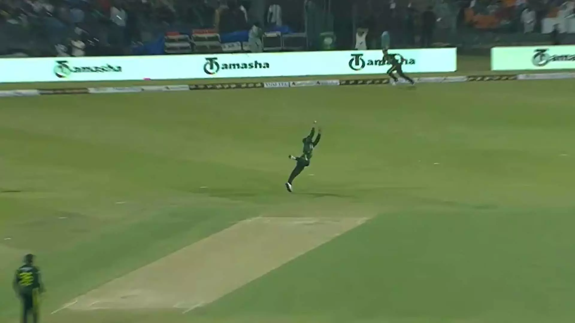 PAK बनाम NZ तीसरे T20I में शादाब खान की चीख निकल गई, वीडियो