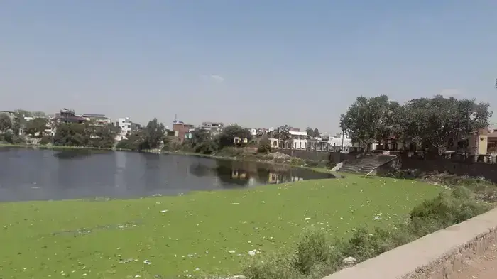 महापौर ने शहर के पांच तालाबों का निरीक्षण किया, निरीक्षण में पांच तालाब बदहाल मिले
