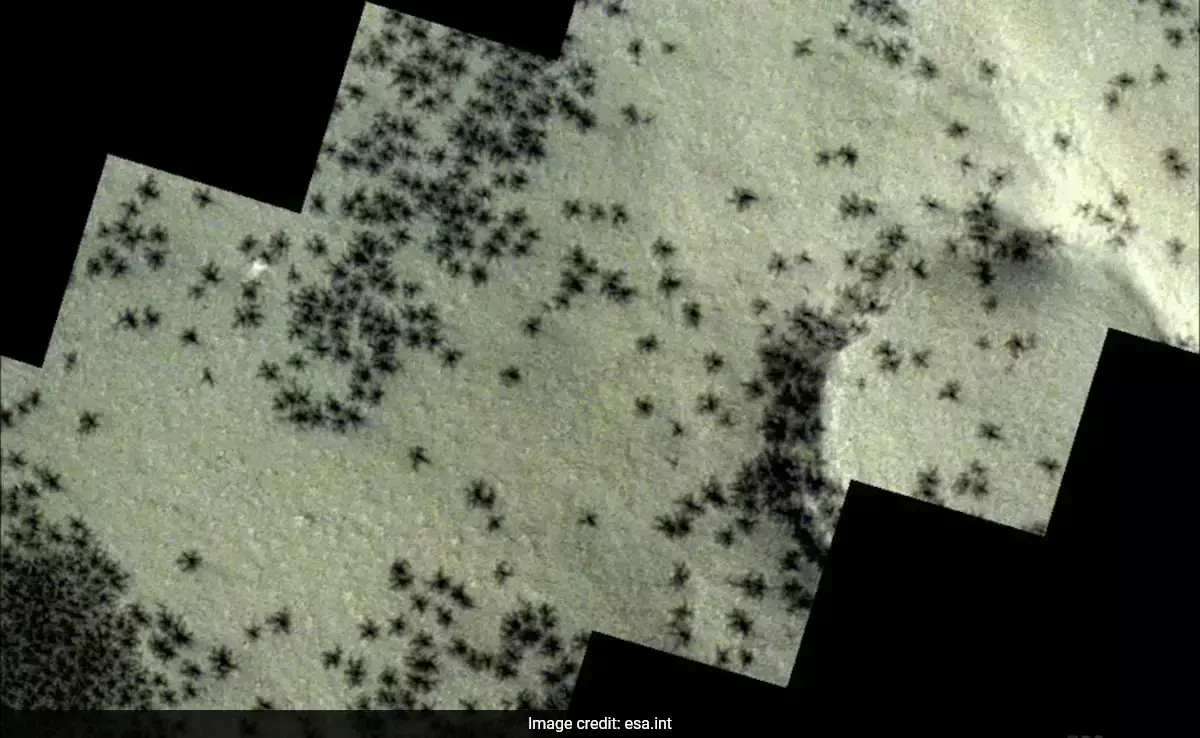 मंगल ग्रह की सतह पर सैकड़ों काली मकड़ियां देखी गईं, जानिए वे वास्तव में क्या हैं