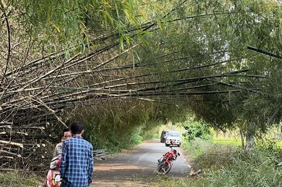 असम तिनसुकिया जिले में तूफान आया; एक मारा गया