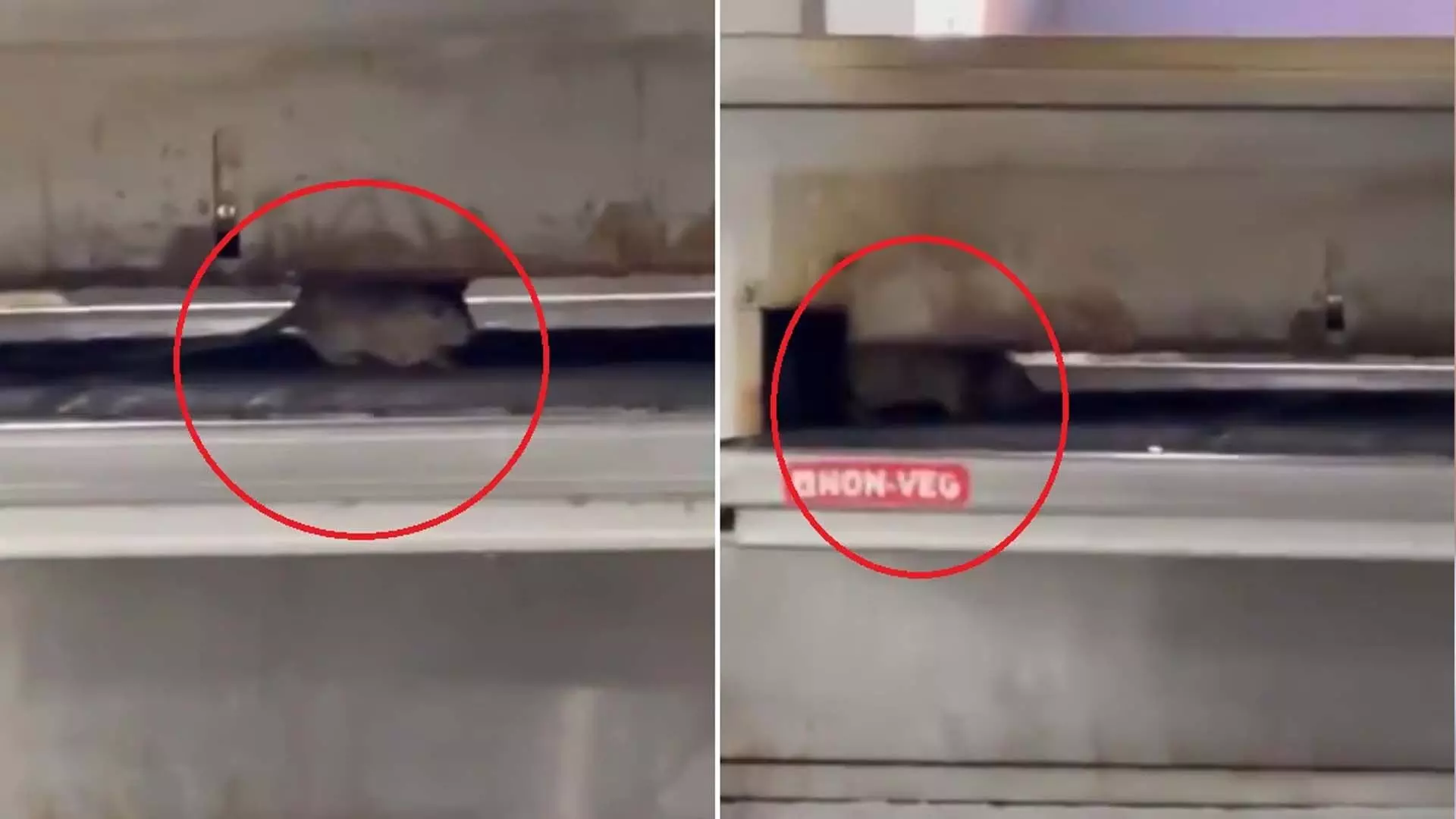 पिज्जा आउटलेट के अंदर ओवन पर दौड़ता नजर आया चूहा, वीडियो वायरल