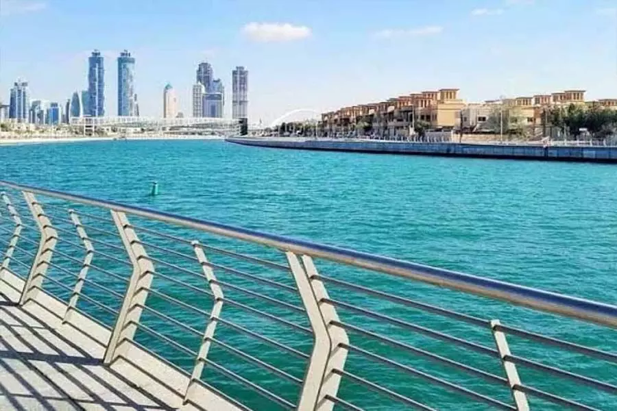 दुबई के जल चैनलों में मृत मछलियाँ देखी गईं, नगर पालिका ने स्पष्टीकरण दिया