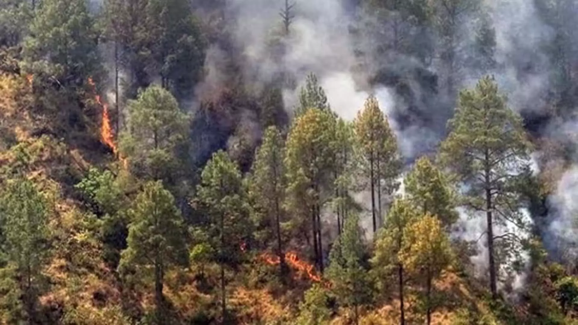 नैनीताल के जंगल की आग से नागरिक क्षेत्र को खतरा