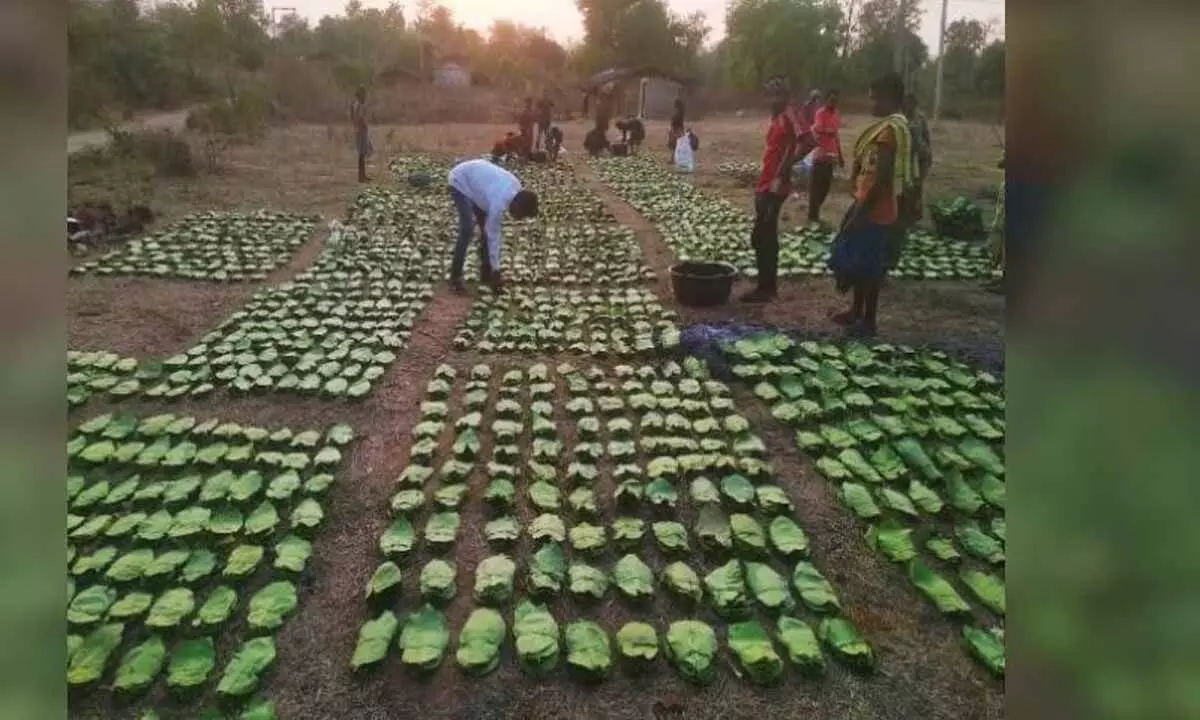 संबलपुर से भाजपा उम्मीदवार प्रणब दास ने केंदू पत्ते पर जीएसटी का मुद्दा उठाया