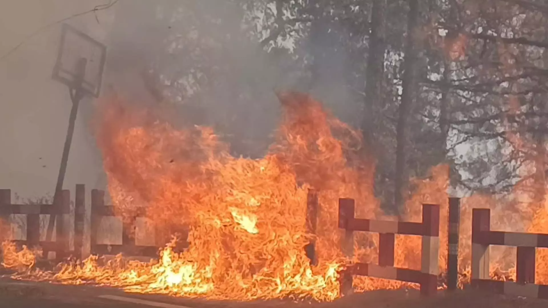 नैनीताल के बाहरी इलाके में जंगल की आग तेज, सहायता के लिए सेना बुलाई गई