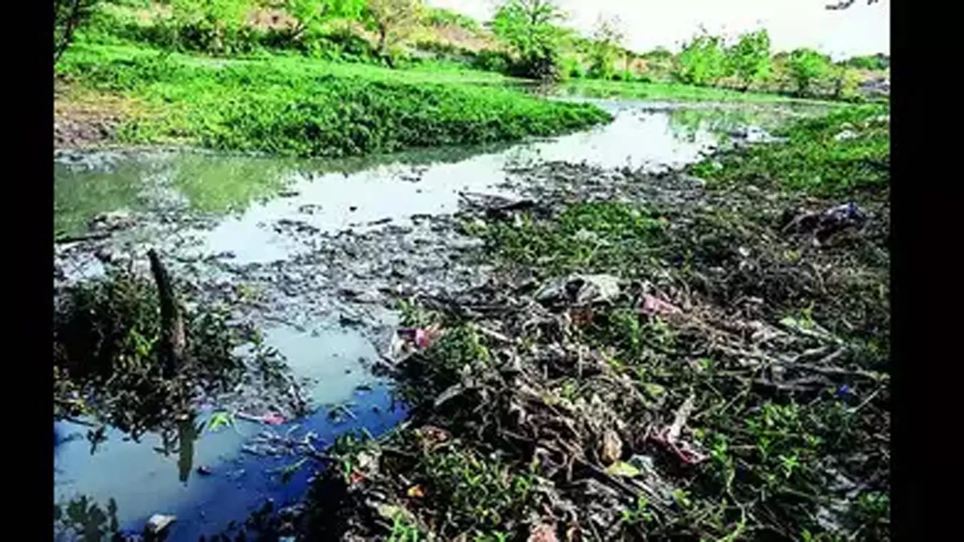 वसंत कुंज पार्क के अंदर स्थित तालाब में सीवेज प्रदूषण से जलीय प्रजातियों को खतरा