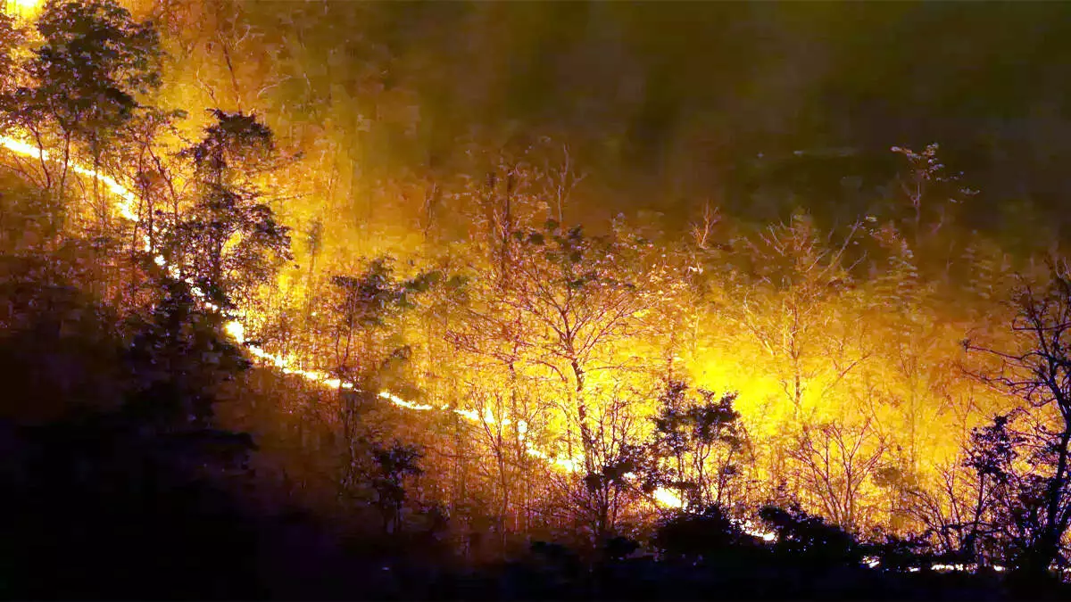 जंगलों में लगी आग से भीमताल के पर्यटन कारोबारियों का कारोबार प्रभावित रहा