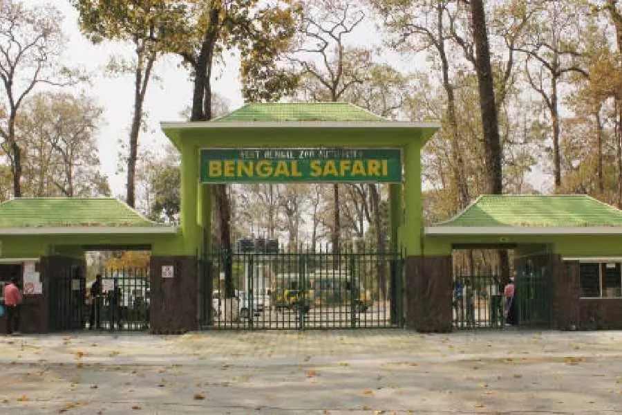 बंगाल सफारी पार्क में एयर कूलर, वॉटर जेट स्प्रे, बांस की छाया और स्टैंड पंखे का उपयोग किया