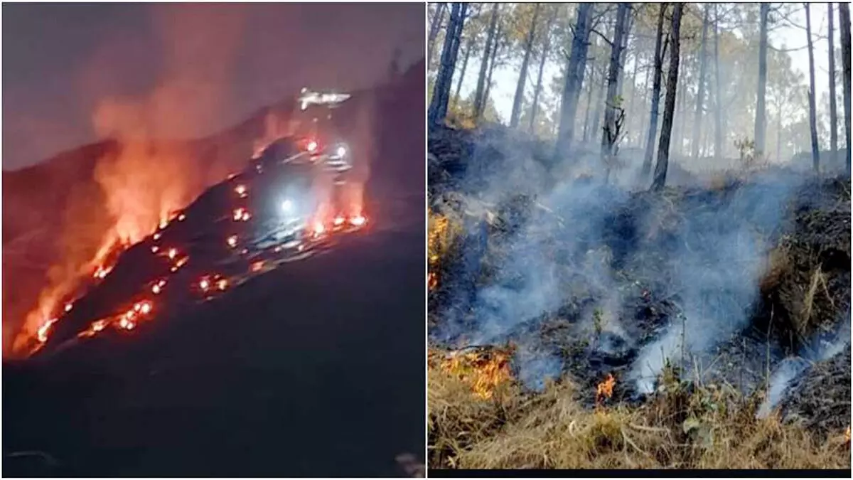 उत्तराखंड में दस साल में 14 हजार से अधिक जंगल में आग की घटना हो चुकी ,17 लोग मारे गए