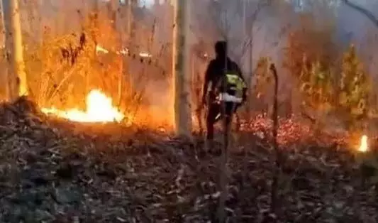 तेलंगाना वन विभाग ने मनुगुरु में जंगल की आग बुझाने के लिए ब्लोअर तैनात किए