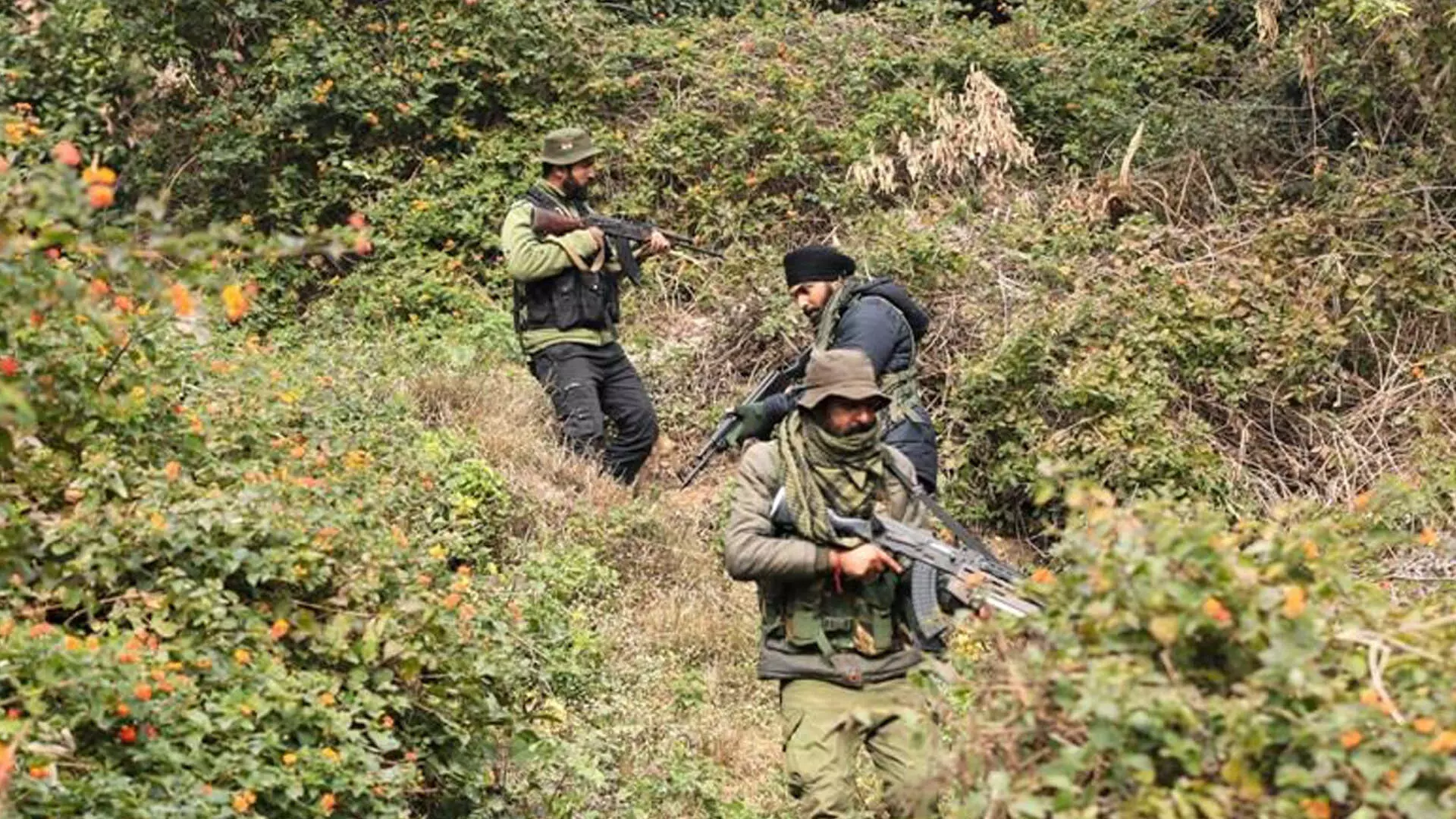 नागालैंड में सुरक्षा बलों ने भारी मात्रा में हथियार बरामद किए