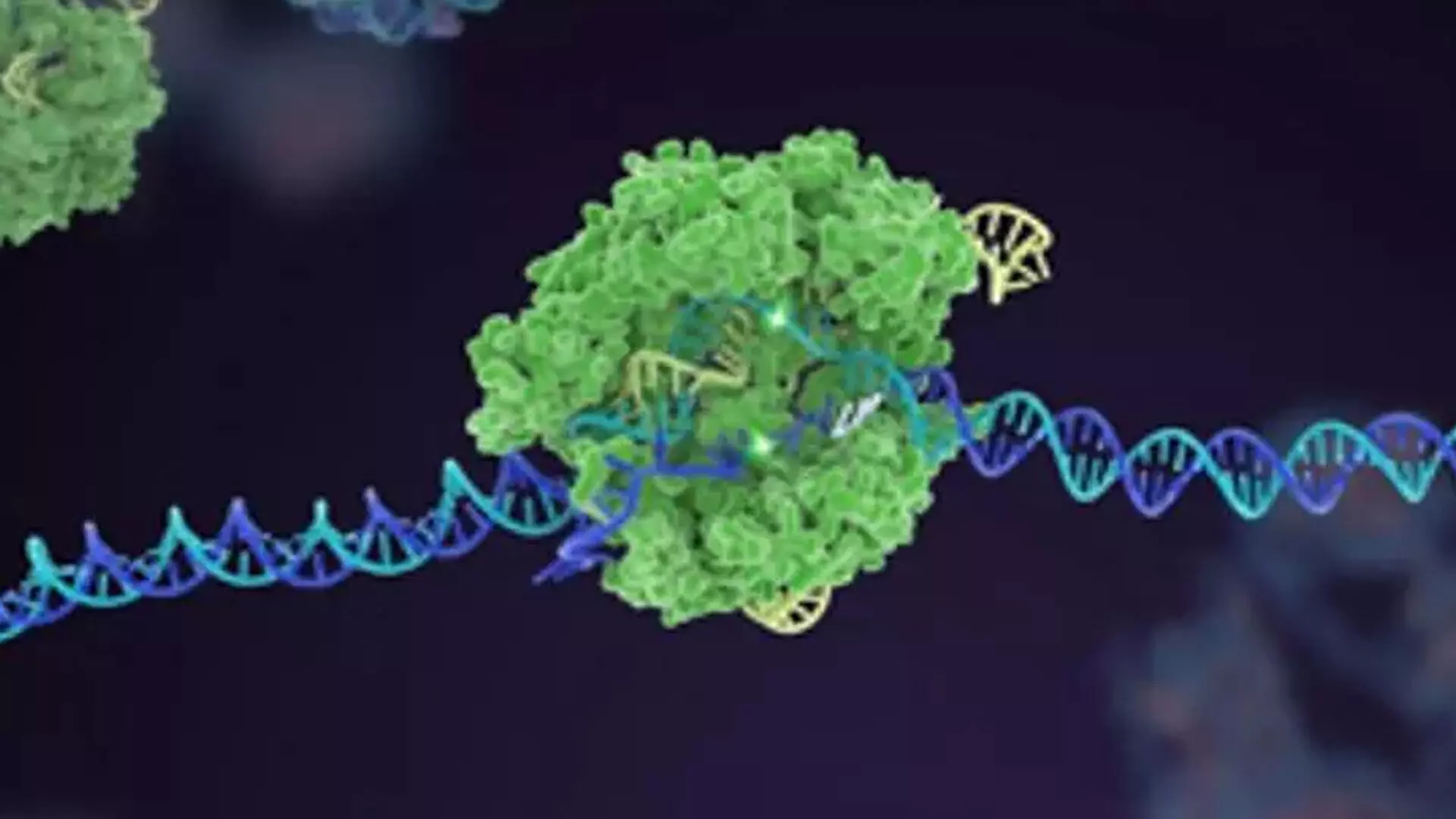 क्या CRISPR-Cas जीन एडिटिंग तकनीक लड़ सकती है रोगाणुरोधी प्रतिरोध से ?