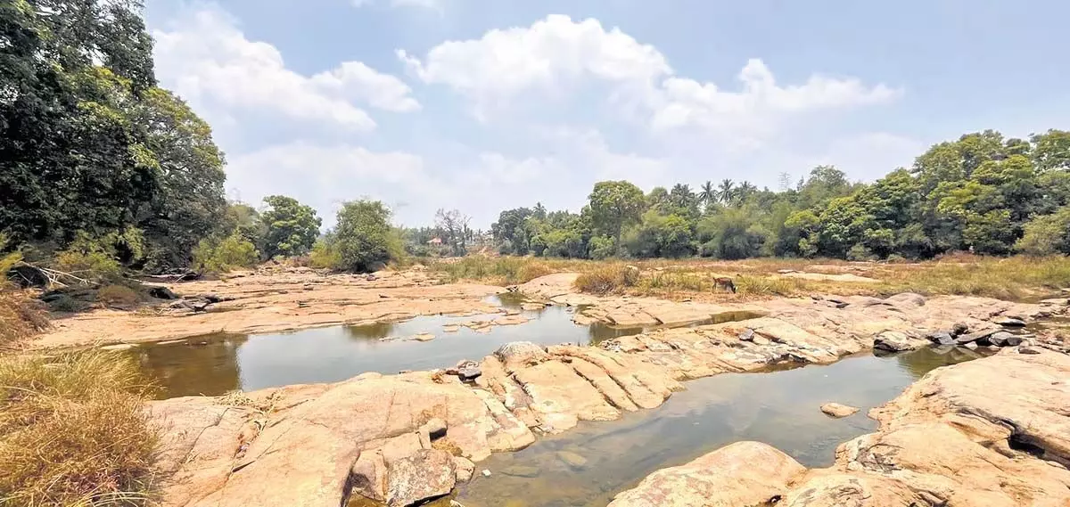 सीडब्ल्यूआरसी: नदी सूखी, कर्नाटक से तमिलनाडु तक पानी नहीं