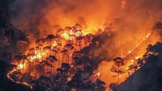 उत्तराखंड में बेकाबू हो रही आग धधक रहे जंगल, 24 घंटे में प्रदेश में 40 नई घटनाएं