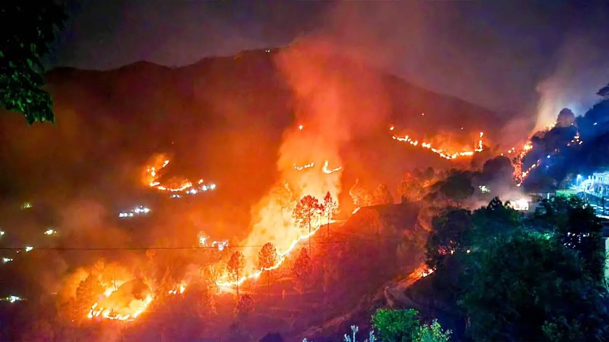 Uttarakhand  : कुमाऊं में 24 घंटे में 14 जगह आग , नैनीताल डिविजन ने बनाई योजना